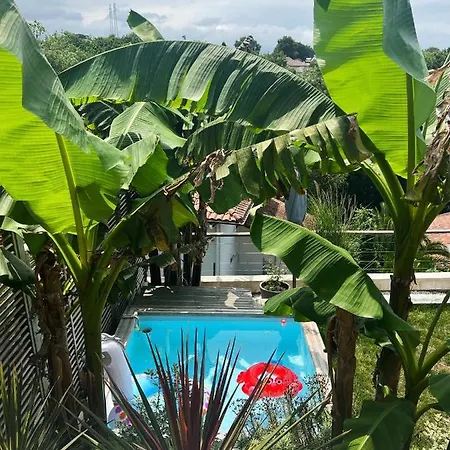 Maison Familiale Avec Piscine Et Terrasse